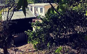 Heerlijk bos chalet met ongekende rust en vrijheid
